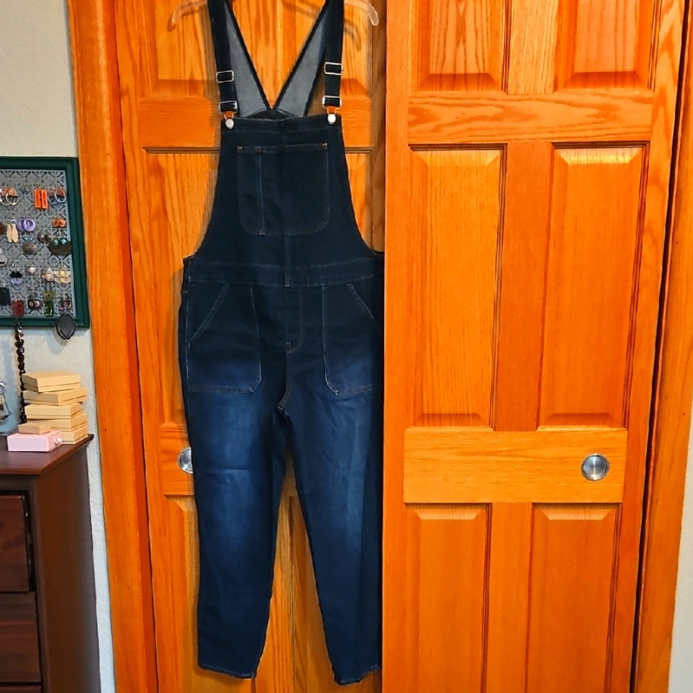 J. Crew Indigo Denim Overalls
